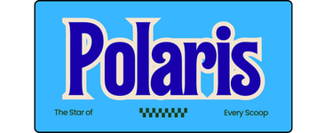 Polaris Painting logo