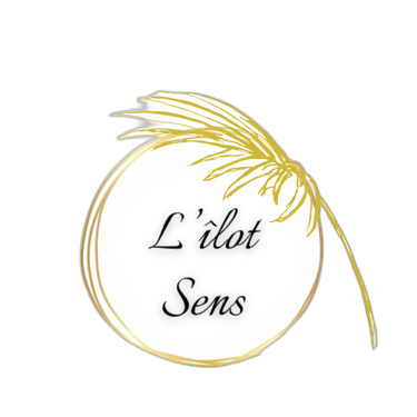 Massage bien être  logo