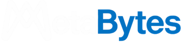 MetaBytes logo