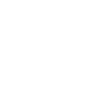 Orbitus Group logo