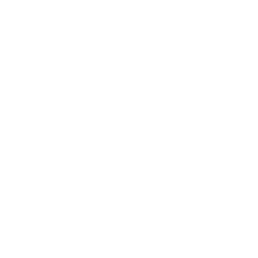 NATIONAL ONLINE SERVICE POINT logo