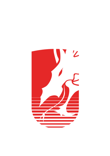 team alves logo