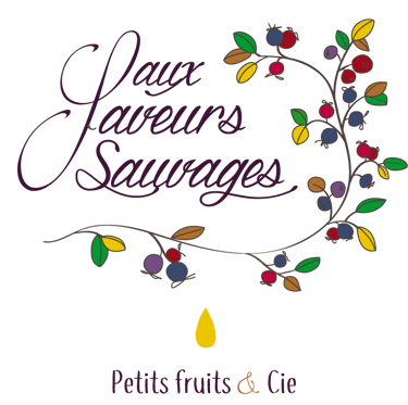 Aux Saveurs Sauvages logo