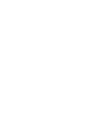 Ñanderu Sintropia logo