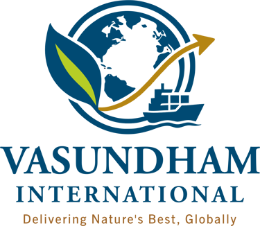 Vasundham international logo
