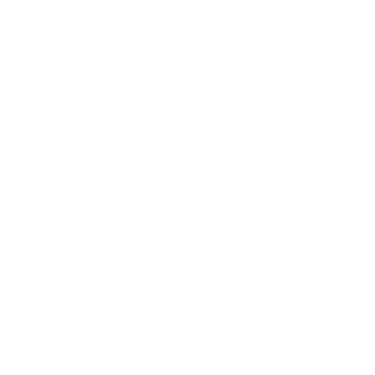 Style Fallow logo