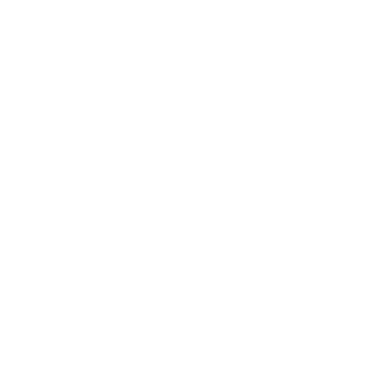 Instituto Xeque-Mate logo