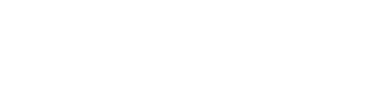 MAXINET CIA DE TELECOMUNICACAO LTDA logo