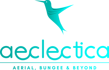 aeclectica - Aerial, Bungee & Beyond logo