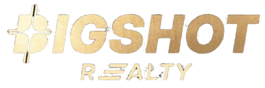 BIGSHOT Realty | Top Real Estate Advisory Firm in Mumbai logo