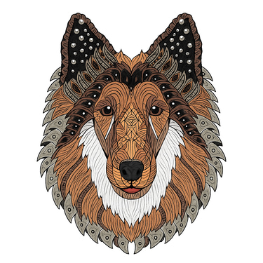 Shetland Store & Tec Service logo