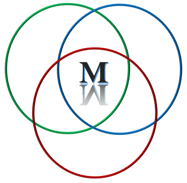 Tools of Mathematical Modeling logo