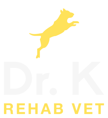 Dr K Rehab Vet logo
