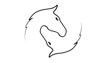 Equimovex logo