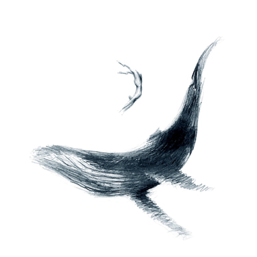 Clément Lesaffre – Apnéiste logo