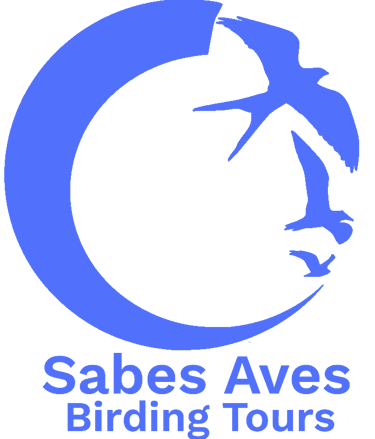 Sabes Aves Birding Tours logo