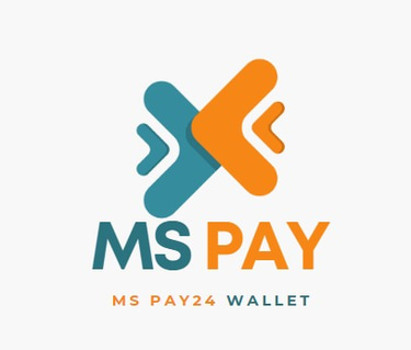 MSPAY 24 logo
