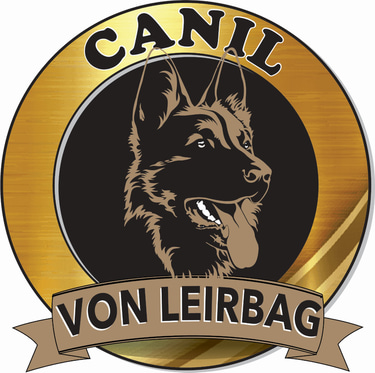 Von Leirbag logo