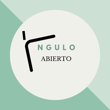Ángulo Informante logo