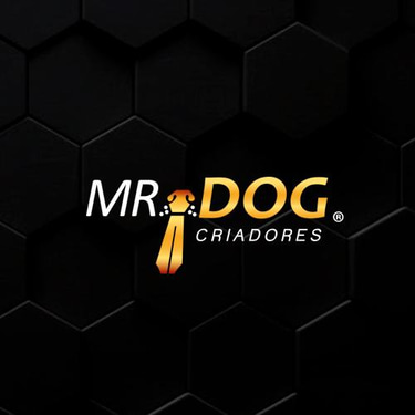 Mr. Dog logo