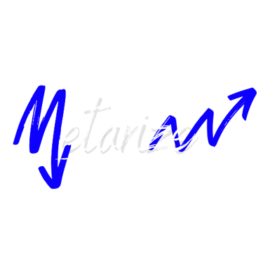 Metarize logo