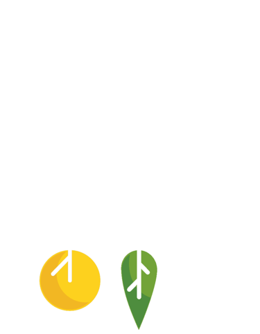 Miško pirkimas, malkos, rąstų pirkimas - SD Mediena logo