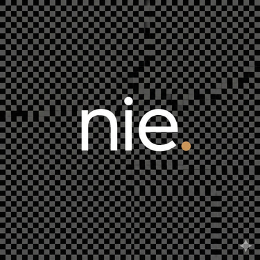 NGUYỄN THÔNG INFOMATION AND EDUCATION - NIE.VN logo