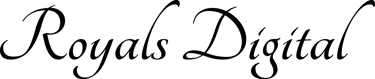 Nova Digital logo