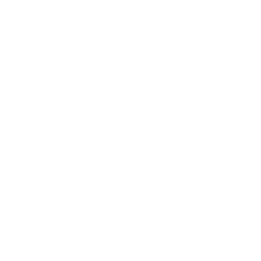 BI SOLUCIONES logo