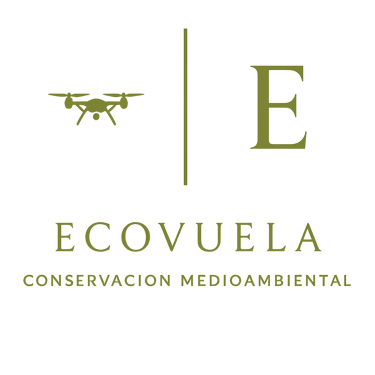 EcoVuela logo