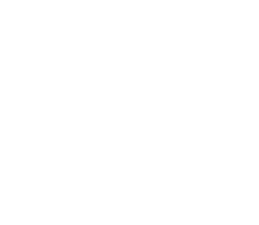 APEX Renovations & Advisors logo
