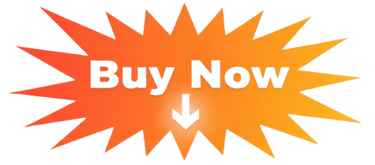 Sistem hair especialist logo