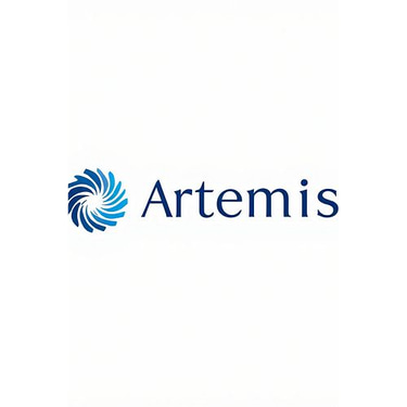 Artemis - Consultoria em Licitações e Política Corporativa de Impacto logo