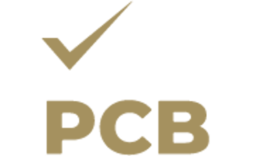 Expert PCB logo