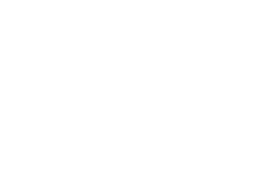 Borro Palace logo