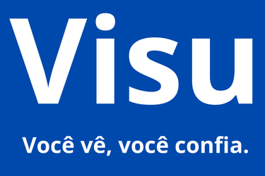 Visu logo