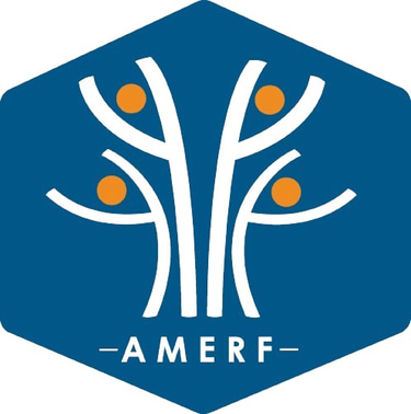 Atinga Moirangcha Educational and Research Foundation(AMERF) logo