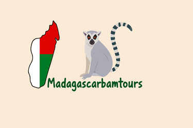 Madagascarbamtours logo