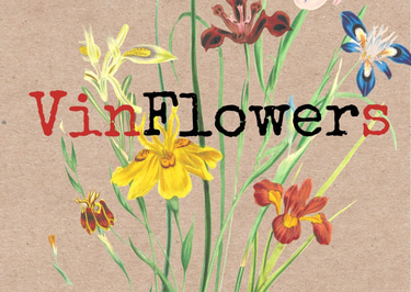 VINFLOWERS logo