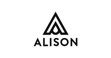 ALISON GROUP LIMITED logo