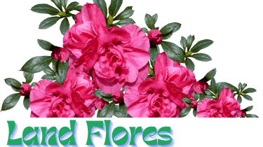 LandFlores logo