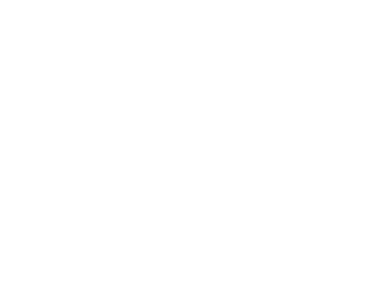 Matti Kesti logo