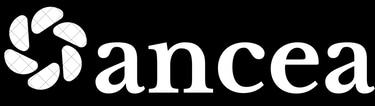 Oancea Media logo