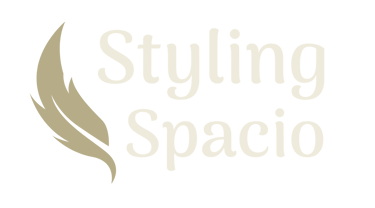 Styling Spacio logo
