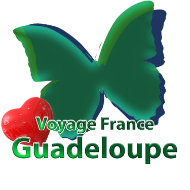 voyage-france-guadeloupe.com logo