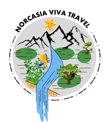 NORCASIA VIVA TRAVEL logo