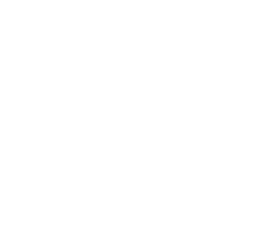 Wivus logo