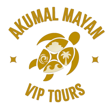 akumal mayan vip tours logo