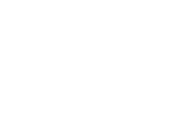 Matthew Duynisveld logo
