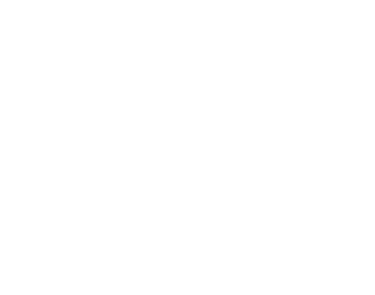 Lisa Rock Wellness logo